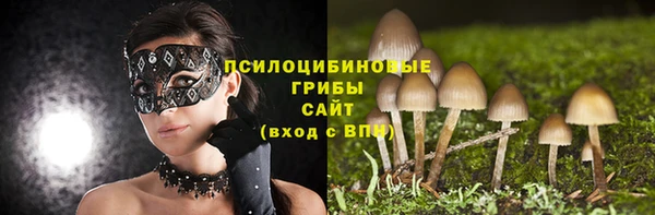 спиды Белокуриха
