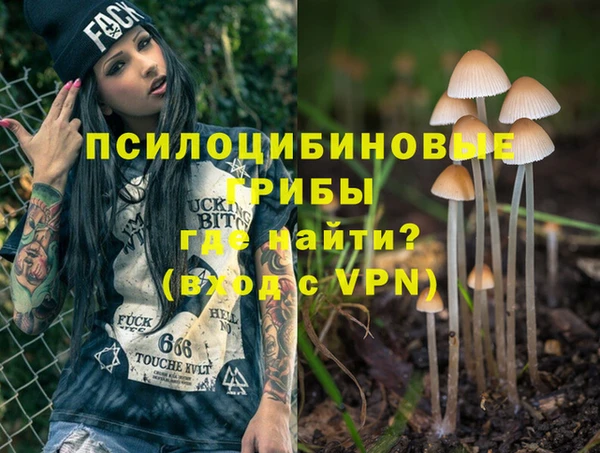 спиды Белокуриха