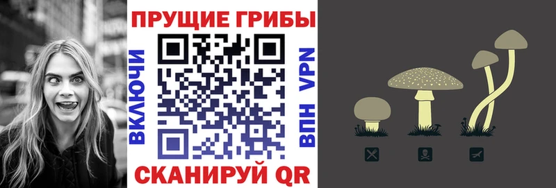 Галлюциногенные грибы MAGIC MUSHROOMS Малмыж