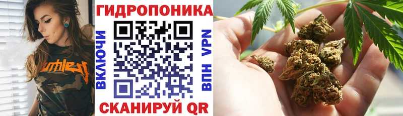 Каннабис гибрид  Малмыж 